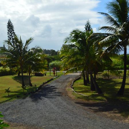 God'S Peace Of Maui Bed & Breakfast Makawao Ruang foto