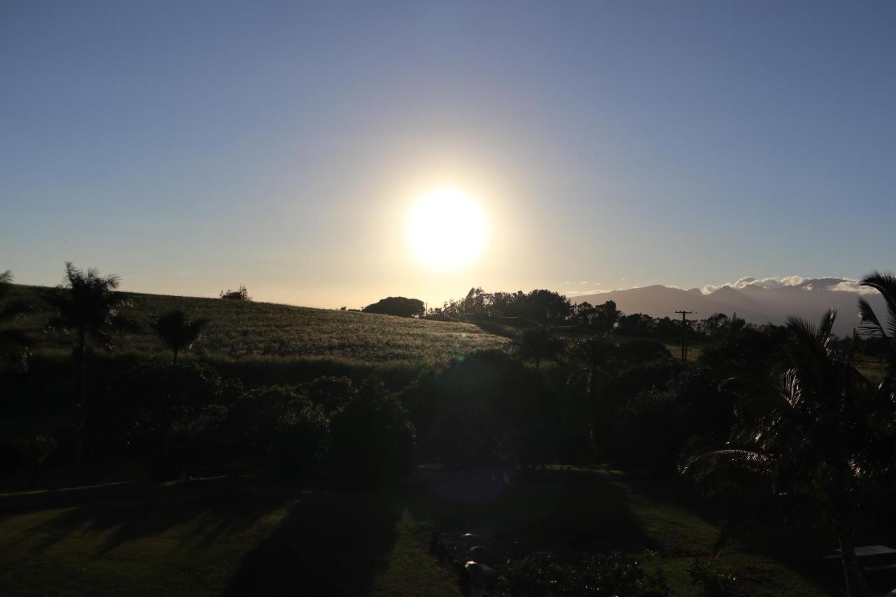 God'S Peace Of Maui Bed & Breakfast Makawao Bagian luar foto