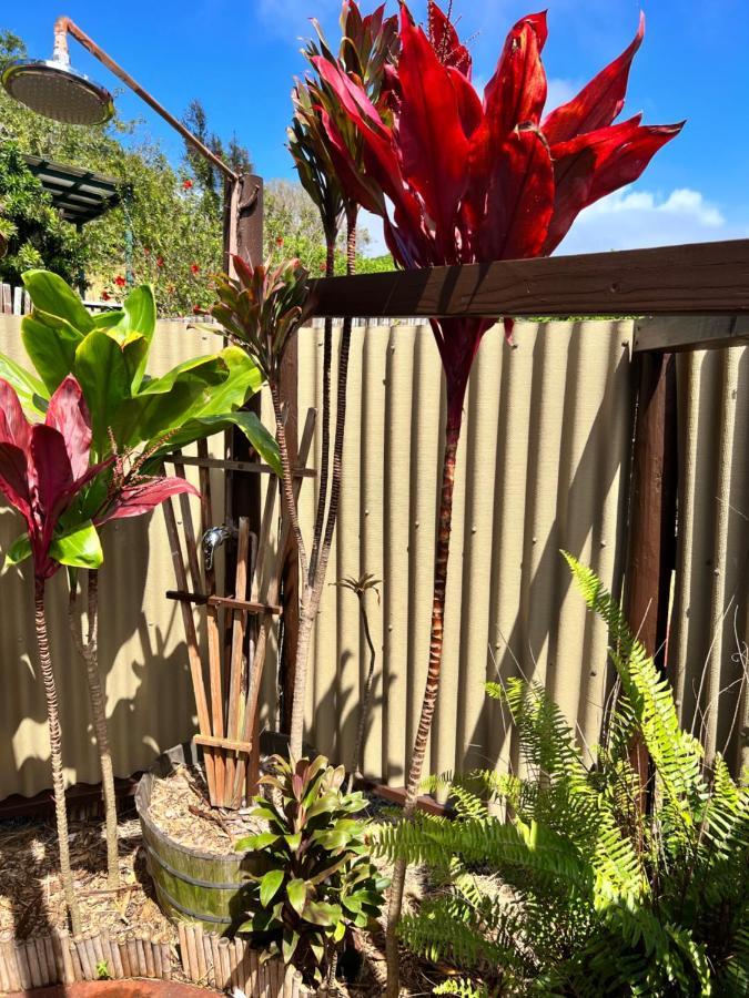 God'S Peace Of Maui Bed & Breakfast Makawao Bagian luar foto
