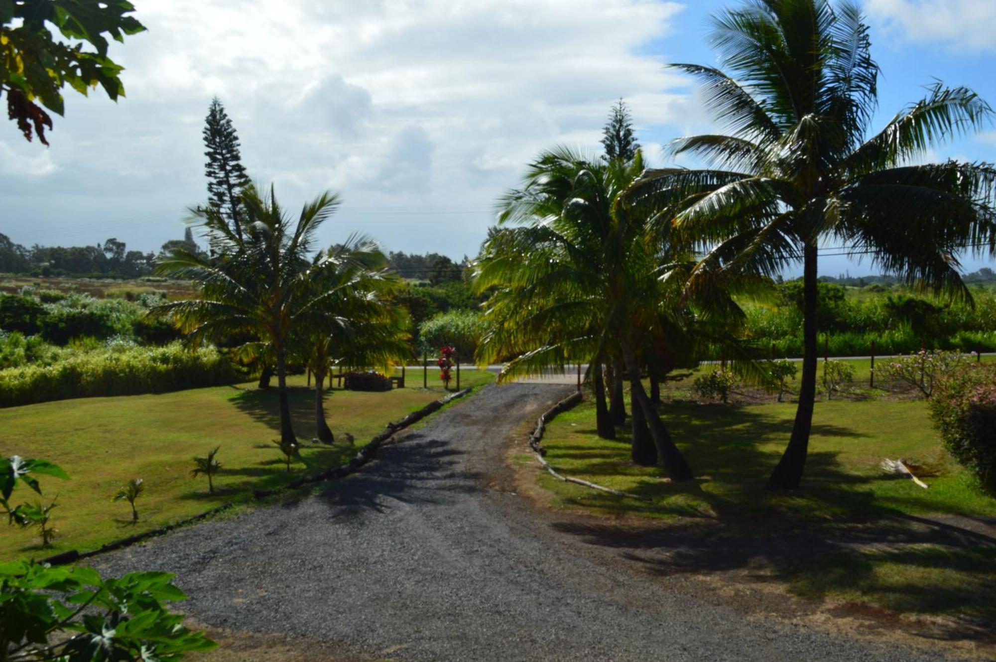 God'S Peace Of Maui Bed & Breakfast Makawao Ruang foto
