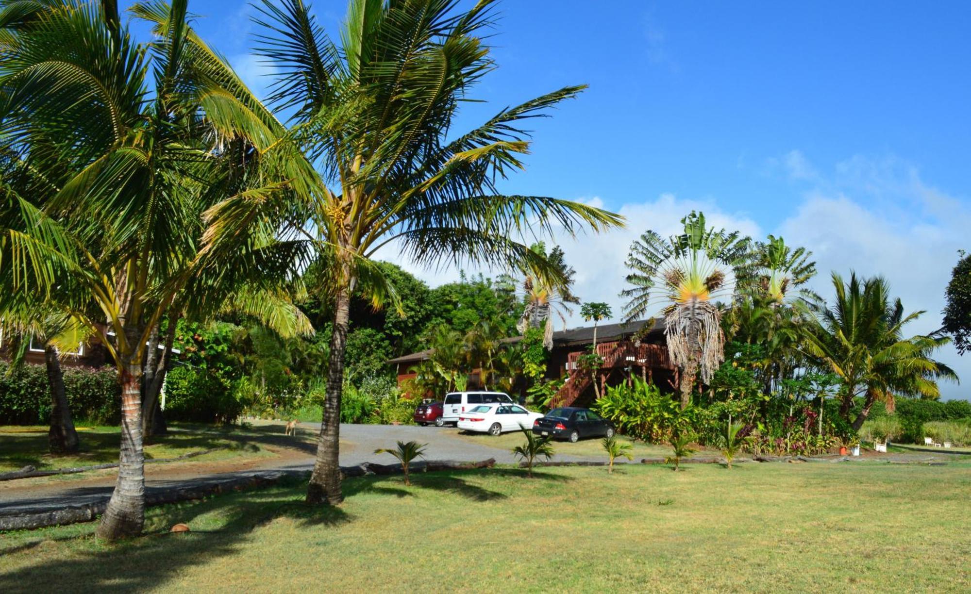 God'S Peace Of Maui Bed & Breakfast Makawao Ruang foto