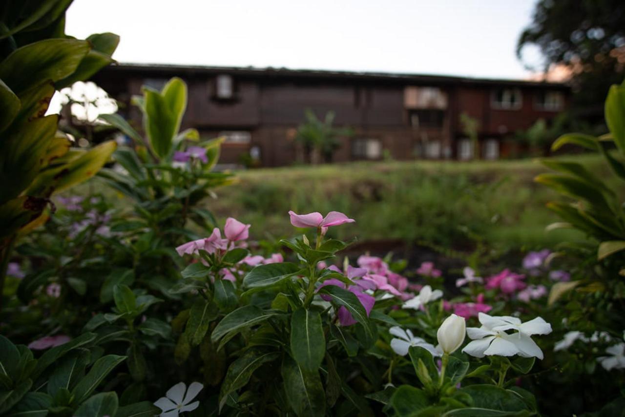 God'S Peace Of Maui Bed & Breakfast Makawao Bagian luar foto