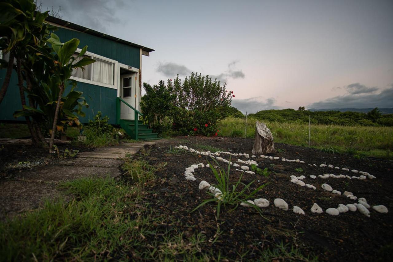 God'S Peace Of Maui Bed & Breakfast Makawao Bagian luar foto
