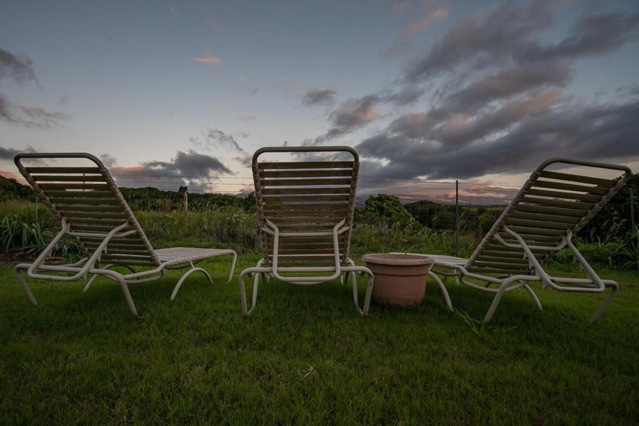 God'S Peace Of Maui Bed & Breakfast Makawao Bagian luar foto