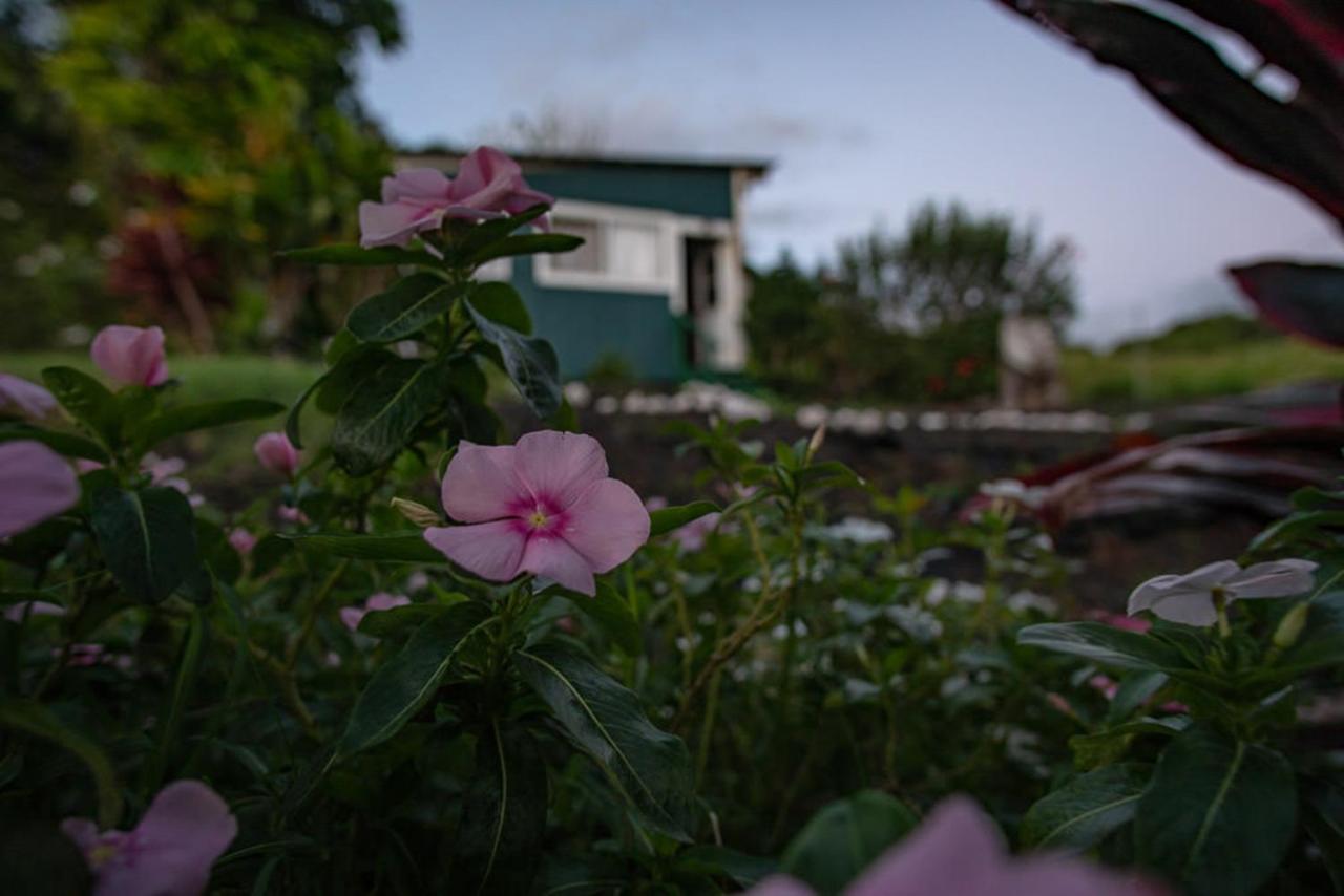 God'S Peace Of Maui Bed & Breakfast Makawao Bagian luar foto