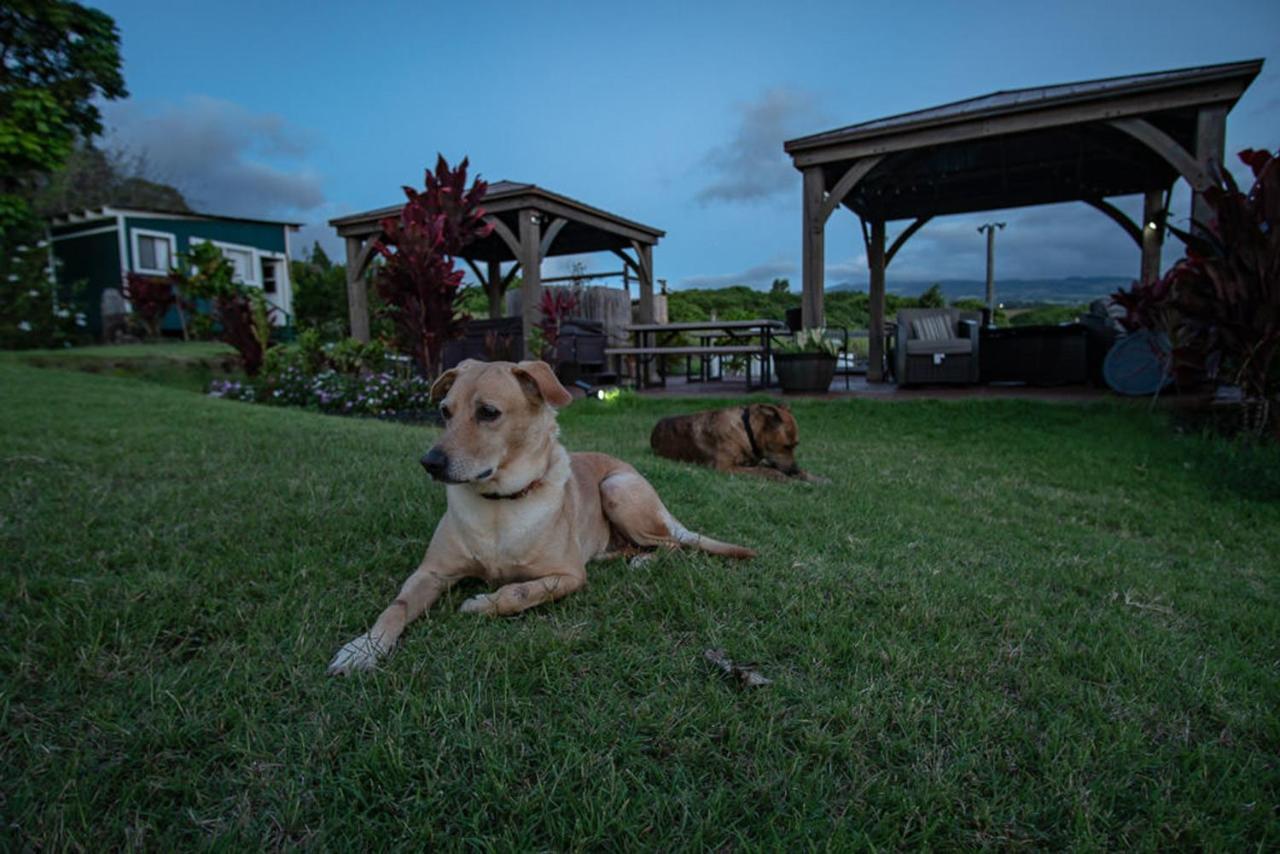 God'S Peace Of Maui Bed & Breakfast Makawao Bagian luar foto